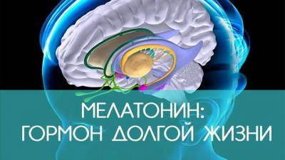 Российские Учёные рекомендуют принимать мелатонин для продления молодости и долголетия