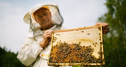 Тенториум - пчеловодческая компания